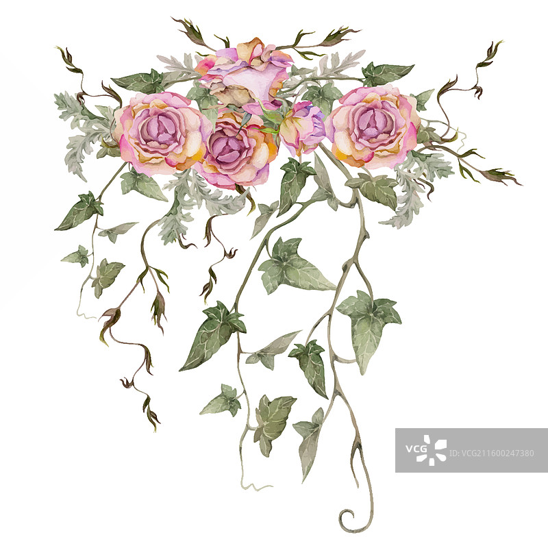 手绘水彩风格的颓废波西米亚风植物插画图片素材