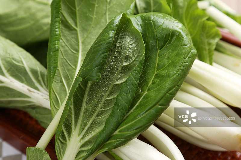 鲜嫩的小白菜图片素材