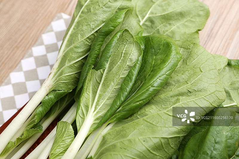 鲜嫩的小白菜图片素材