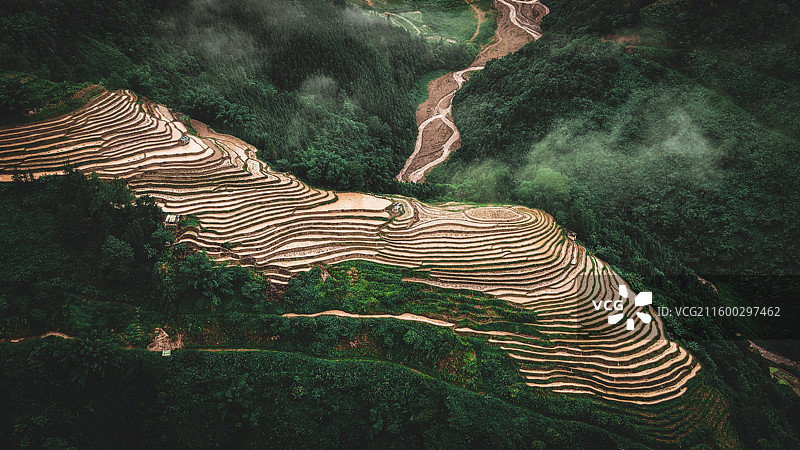 云南省绿春县托牛村梯田图片素材