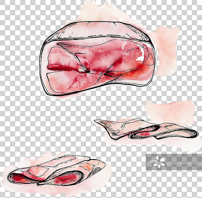 手绘水彩墨水火腿、意大利熏火腿和培根图片素材