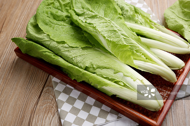 新鲜嫩绿的小白菜图片素材