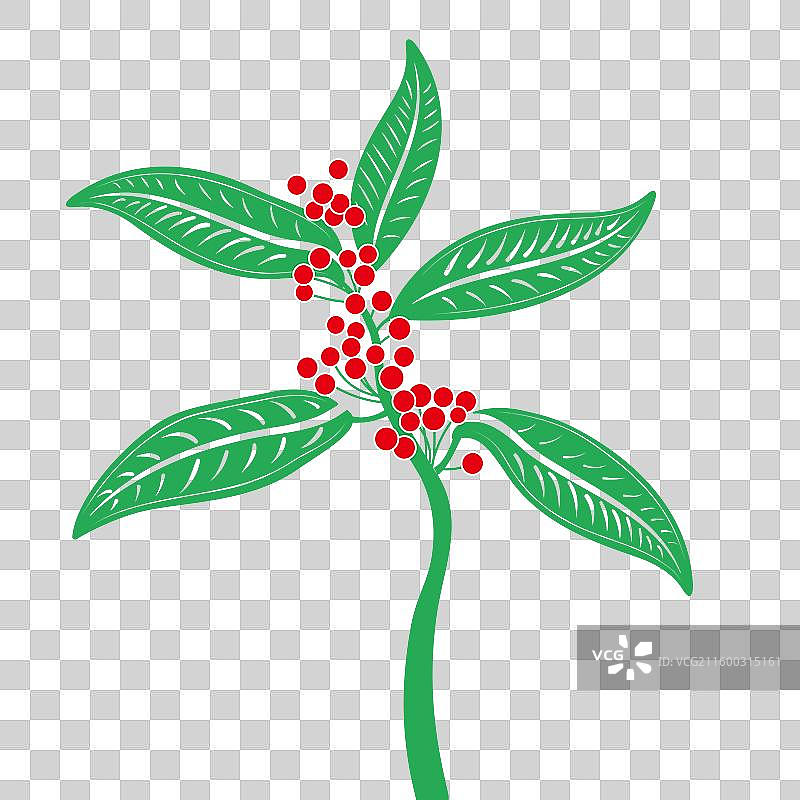 茯苓枸杞中国传统中药材中草药药材元素图片素材