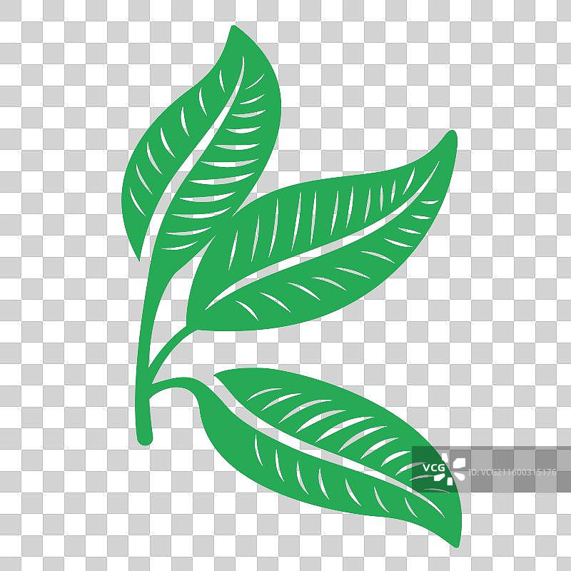 茯苓枸杞中国传统中药材中草药药材元素图片素材