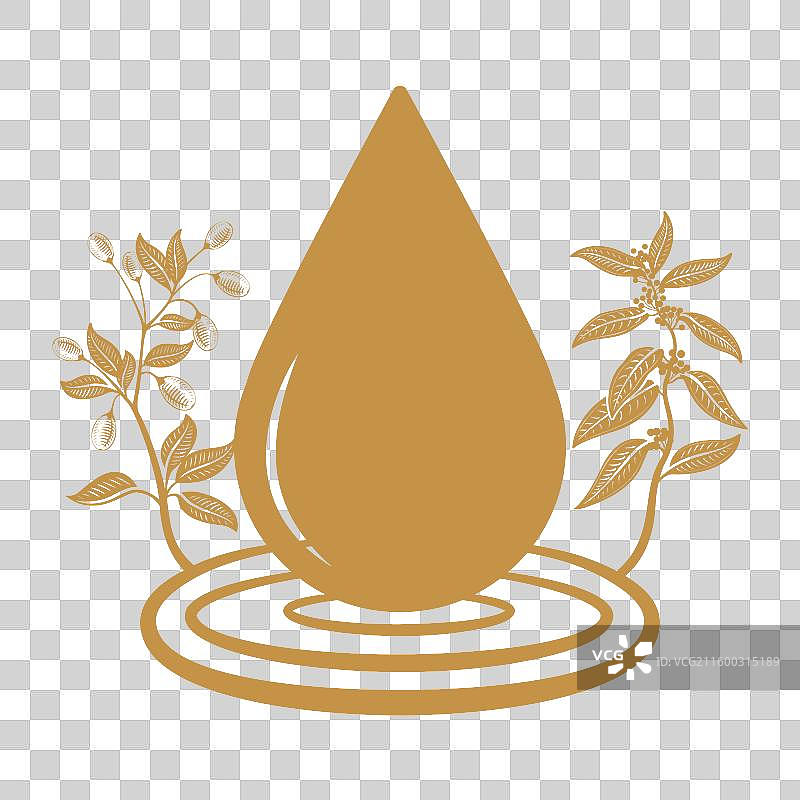 茯苓枸杞中国传统中药材中草药药材元素图片素材