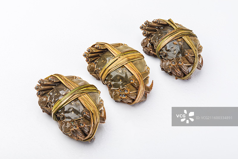 三只江苏产的鲜活大闸蟹特写图片素材