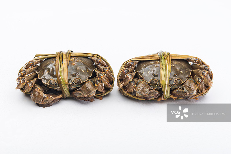 两只江苏产的鲜活大闸蟹捆绑特写图片素材