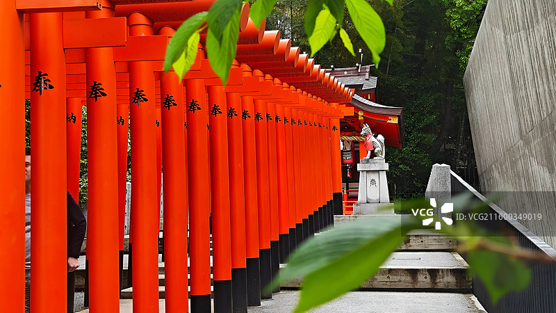 神户生田神社约建于 3 世纪，主祀稚日女尊，是恋爱与姻缘信仰中心，有金龙泉水占卜等特色。图片素材