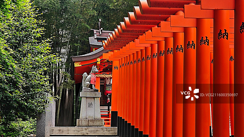 神户生田神社约建于 3 世纪，主祀稚日女尊，是恋爱与姻缘信仰中心，有金龙泉水占卜等特色。图片素材