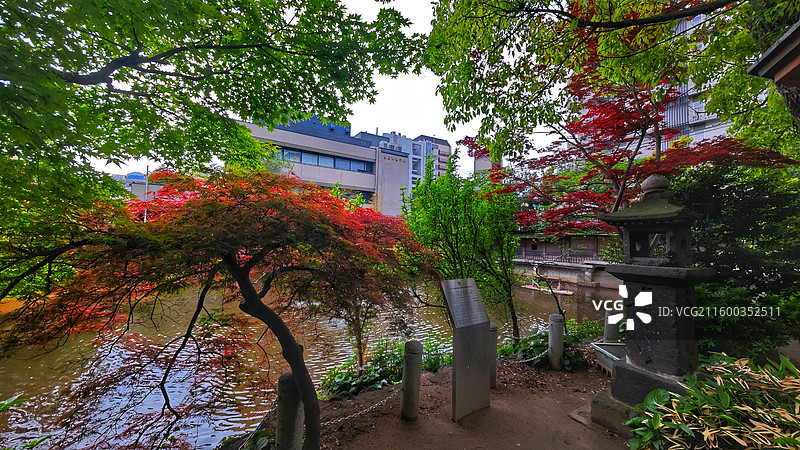 神户生田神社约建于 3 世纪，主祀稚日女尊，是恋爱与姻缘信仰中心，有金龙泉水占卜等特色。图片素材