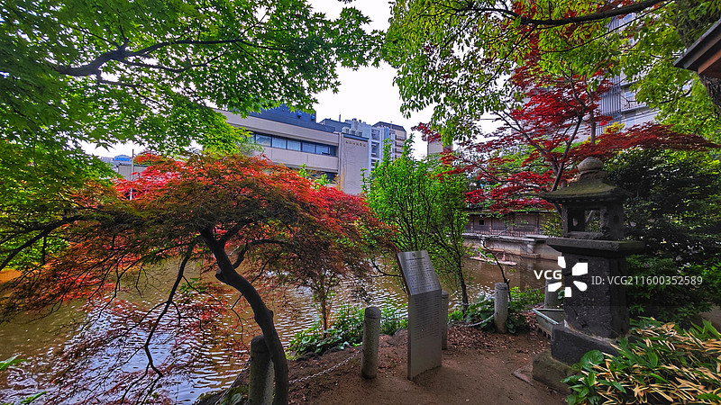 神户生田神社约建于 3 世纪，主祀稚日女尊，是恋爱与姻缘信仰中心，有金龙泉水占卜等特色。图片素材