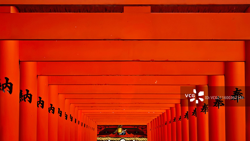 神户生田神社约建于 3 世纪，主祀稚日女尊，是恋爱与姻缘信仰中心，有金龙泉水占卜等特色。图片素材