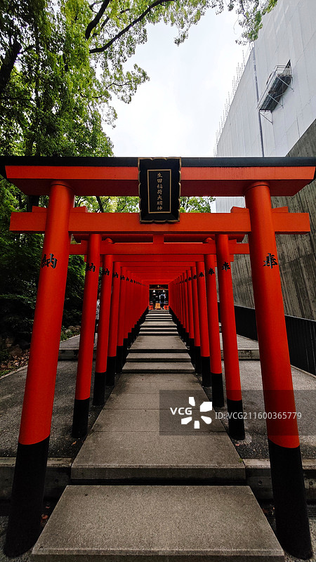 神户生田神社约建于 3 世纪，主祀稚日女尊，是恋爱与姻缘信仰中心，有金龙泉水占卜等特色。图片素材