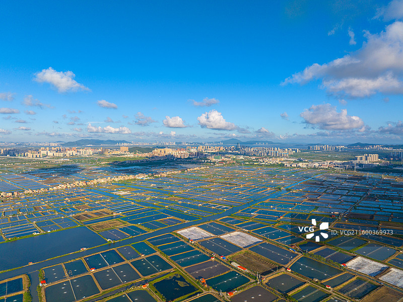 珠海西区养殖业和黄杨河图片素材