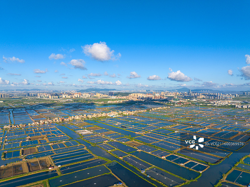 珠海西区养殖业和黄杨河图片素材