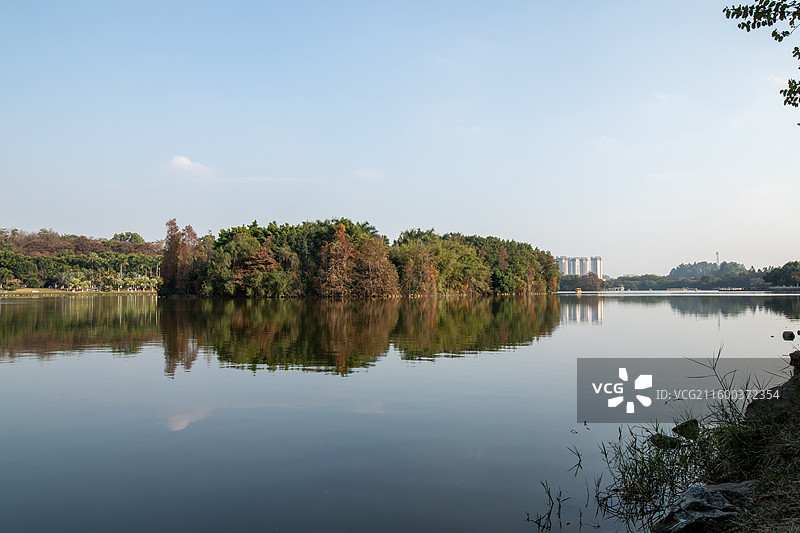 宁静的公园湖面风光图片素材