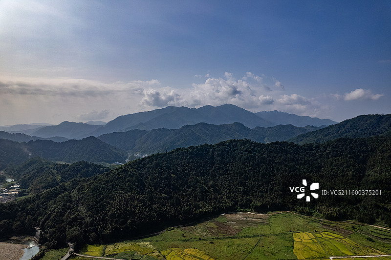 南平邵武茂密山林图片素材