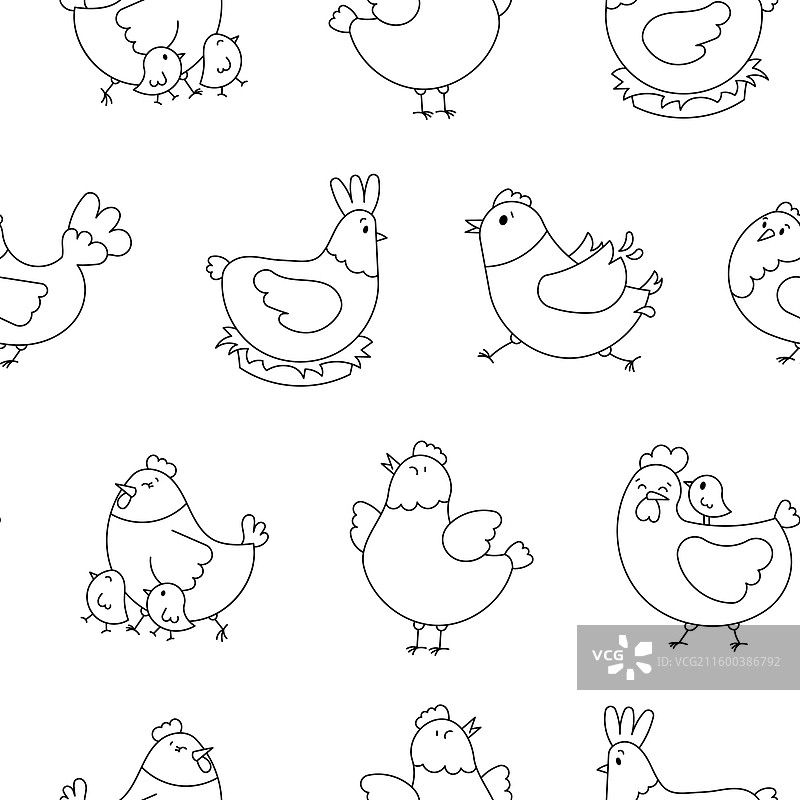 公鸡、母鸡和小鸡的填色页图片素材