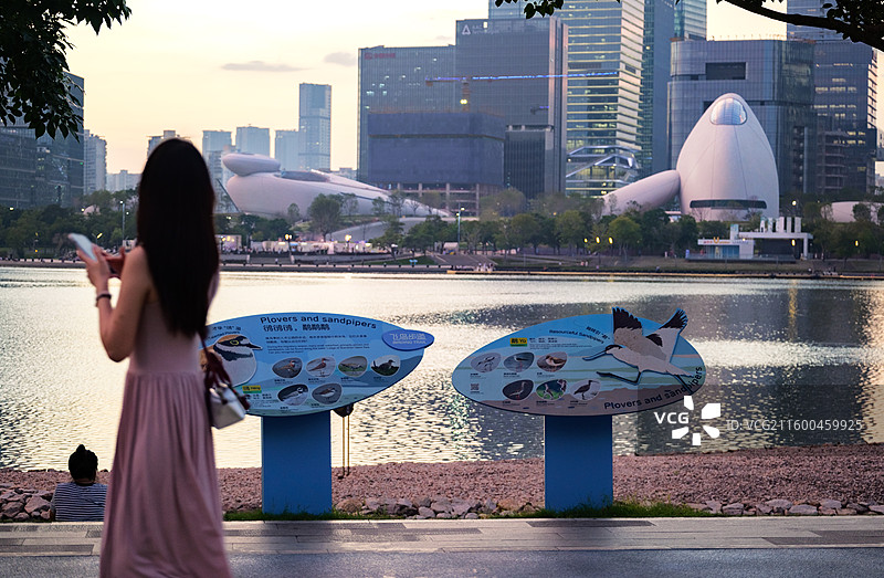 深圳湾文化广场、深圳人才公园、中国华润大厦、后海图片素材