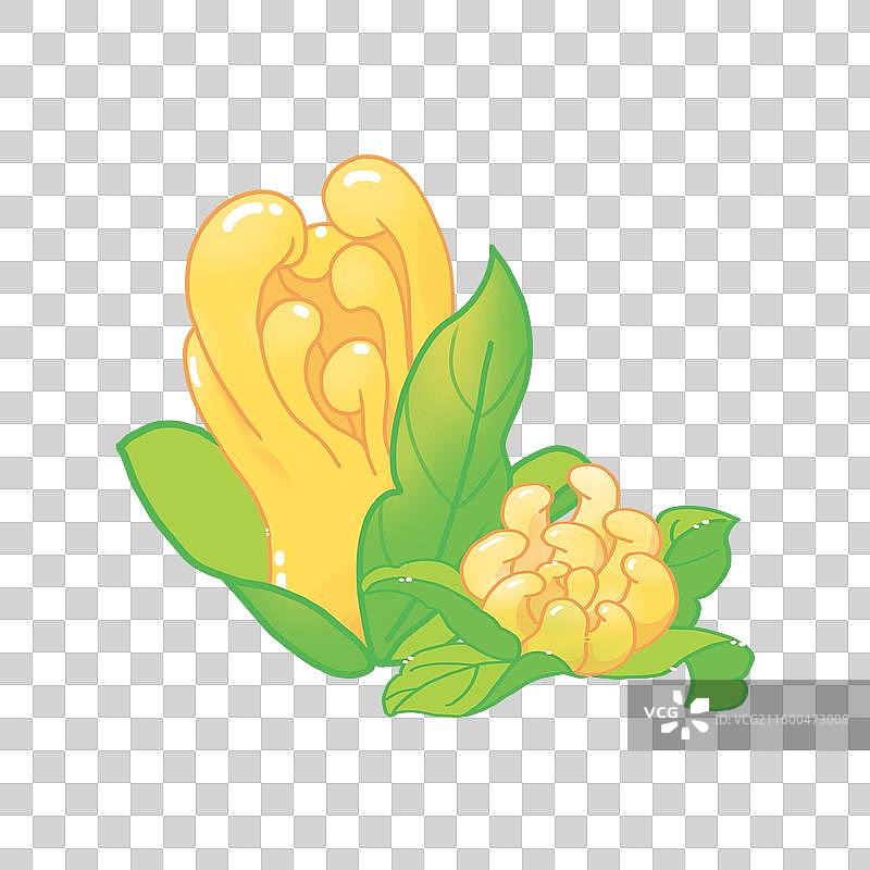 佛手国潮喜庆手绘插画图片素材