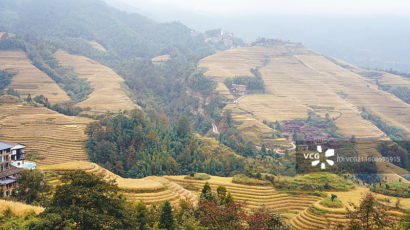 广西桂林龙胜龙脊梯田图片素材
