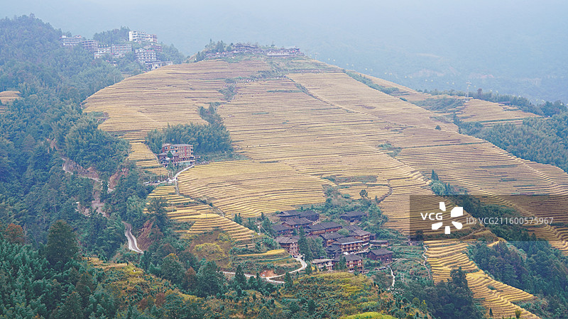 广西桂林龙胜龙脊梯田图片素材