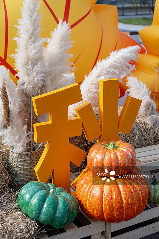 秋天收获图片素材