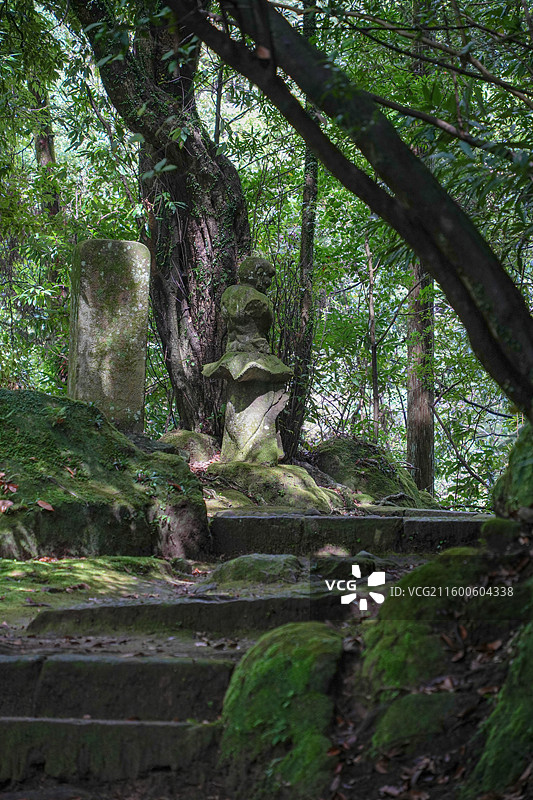 日本鹿儿岛县慈眼寺公园夏天户外大自然秘境图片素材