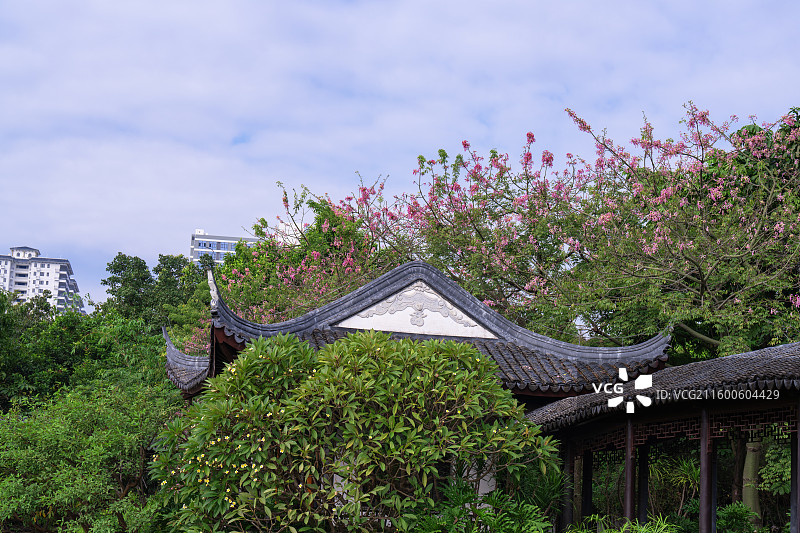 南宁市花卉公园幽兰苑江南园林风景图片素材