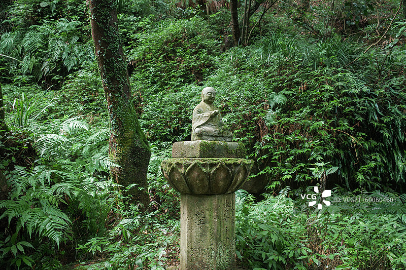 日本鹿儿岛县慈眼寺公园夏天户外大自然秘境图片素材