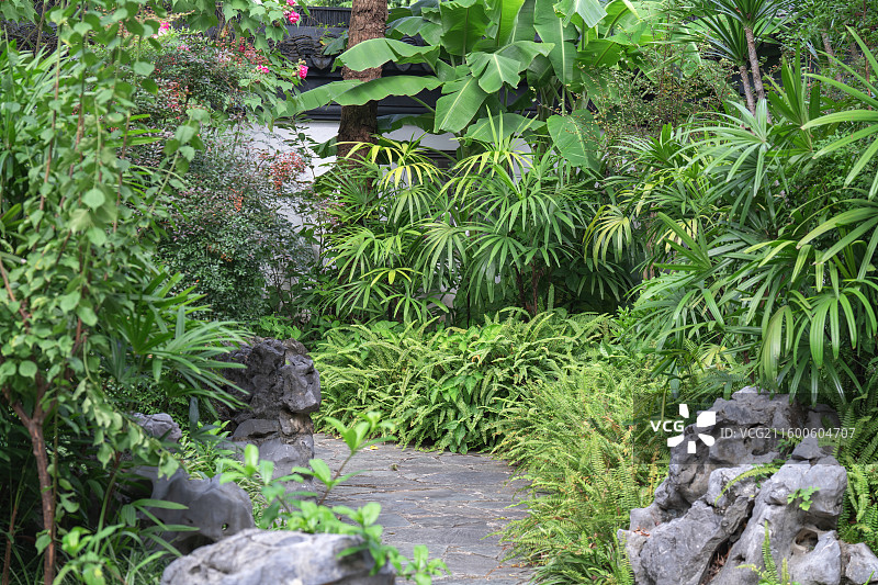 南宁市花卉公园幽兰苑江南园林风景图片素材