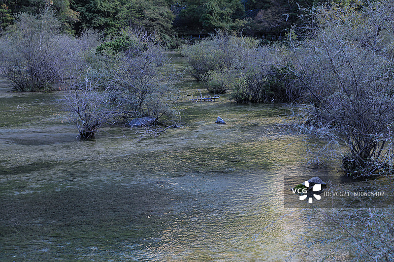 九寨沟之盆景滩图片素材