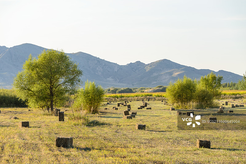 内蒙古赤峰翁牛特旗乌丹镇草原牧场图片素材