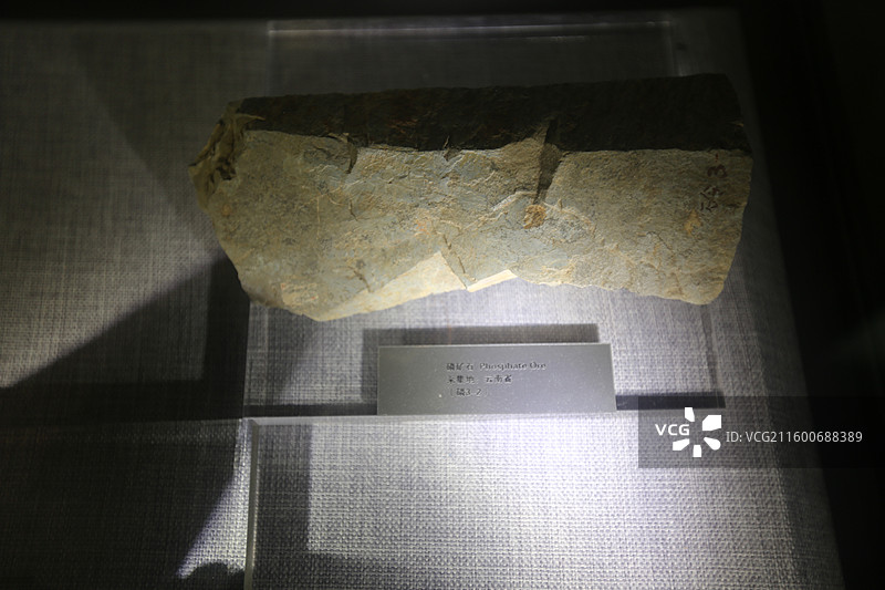 云南省博物馆矿石标本图片素材