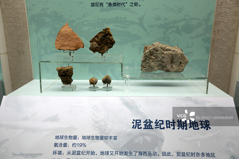 云南省博物馆矿石标本图片素材