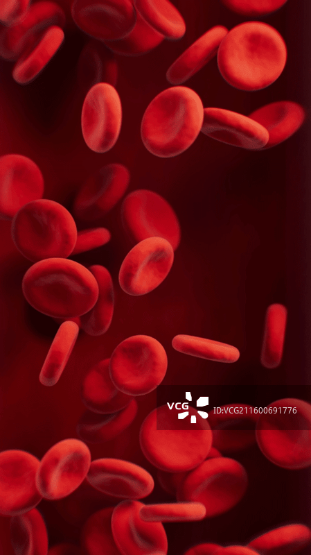 血液里的红细胞三维渲染图片素材
