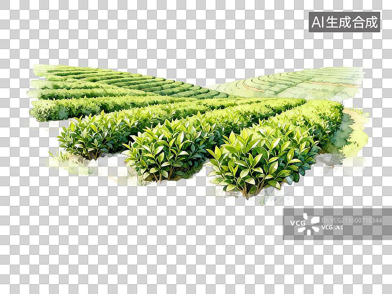 【AI数字艺术】旅游出行自然景观茶园梯田绿植景观图片素材