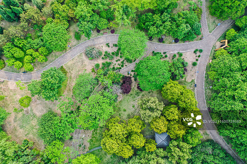 航拍湖北天门植物园里的便道和绿植图片素材