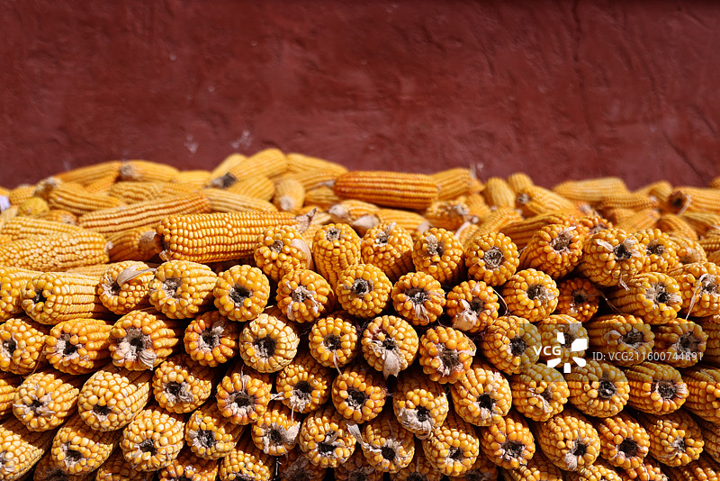 中国最美乡村丹巴甲居藏寨晒玉米图片素材