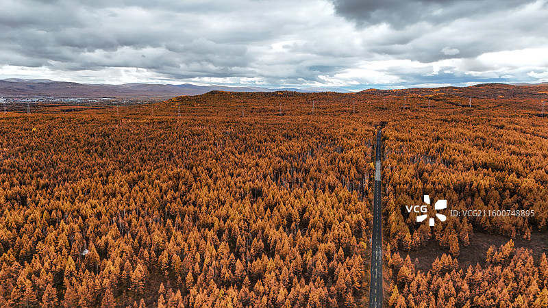 航拍根河敖鲁古雅使鹿部落森林公路图片素材