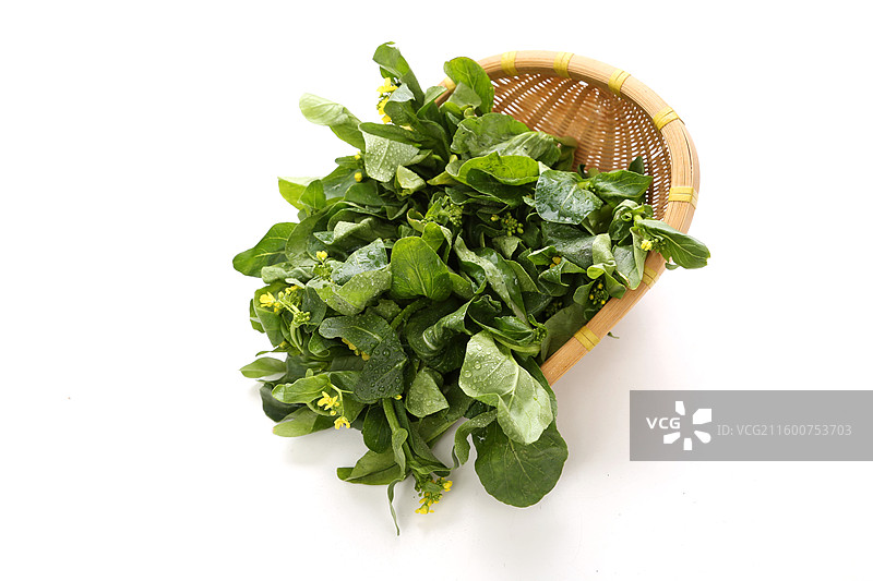 鲜嫩的新鲜菜心图片素材