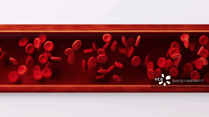 生物医学血管结构三维渲染图片素材