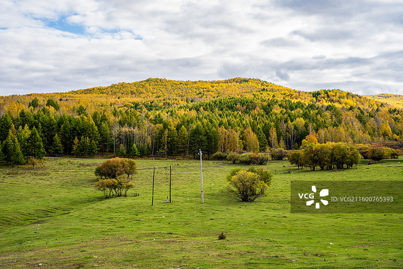 呼伦贝尔蒙兀室韦草原风光图片素材