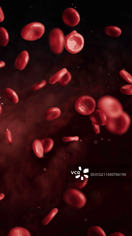 血液里的红细胞三维渲染图片素材