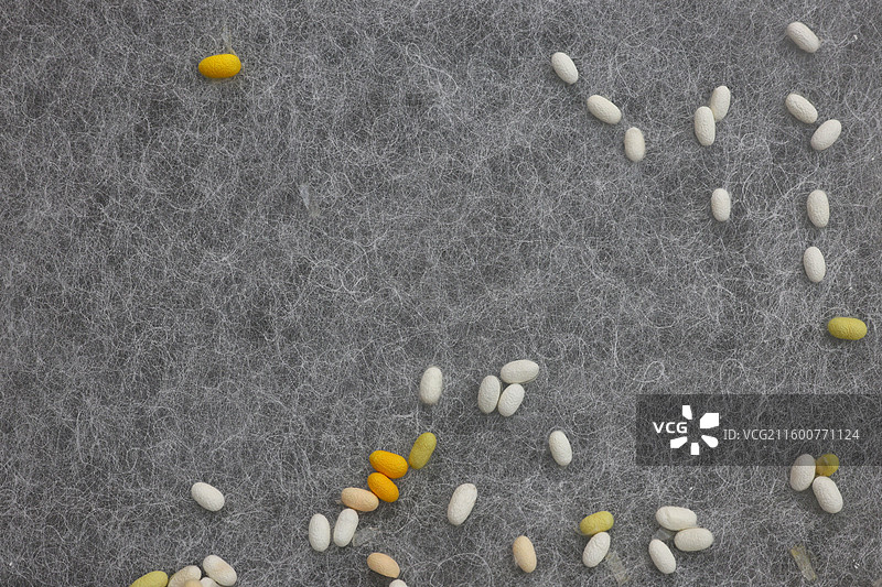 蓝天白云下的上海老建筑特写图片素材