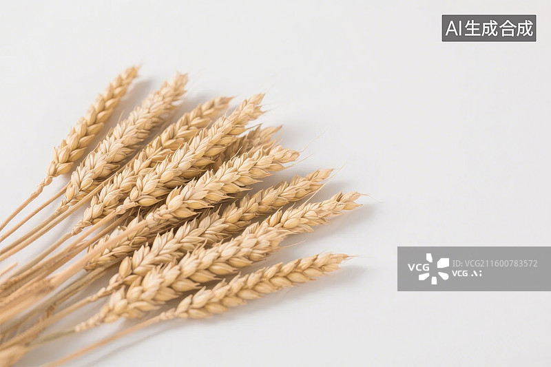 【AI数字艺术】金黄色麦穗静物特写图片素材