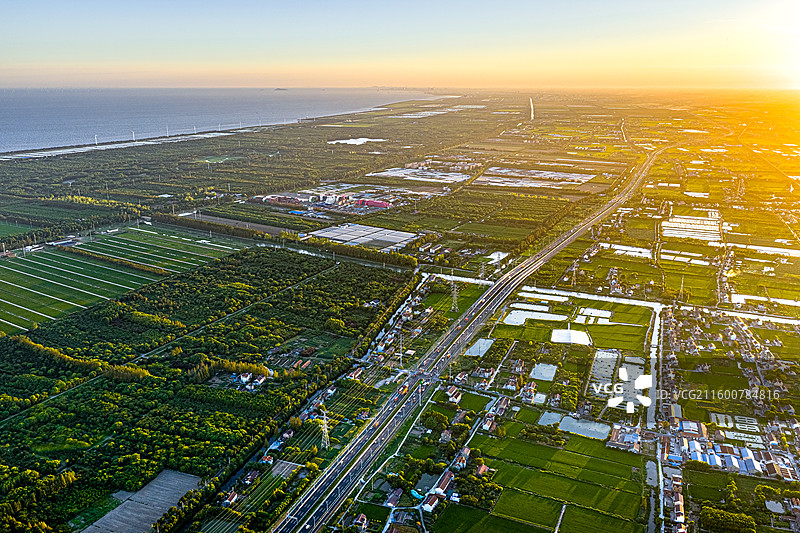 航拍上海五四农场 上山下乡知青岁月 盐碱土改良种植水稻 沿海滩涂围垦造田 杭州湾北岸 奉贤海湾镇图片素材
