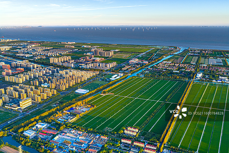 航拍上海五四农场 上山下乡知青岁月 盐碱土改良种植水稻 沿海滩涂围垦造田 杭州湾北岸 奉贤海湾镇图片素材