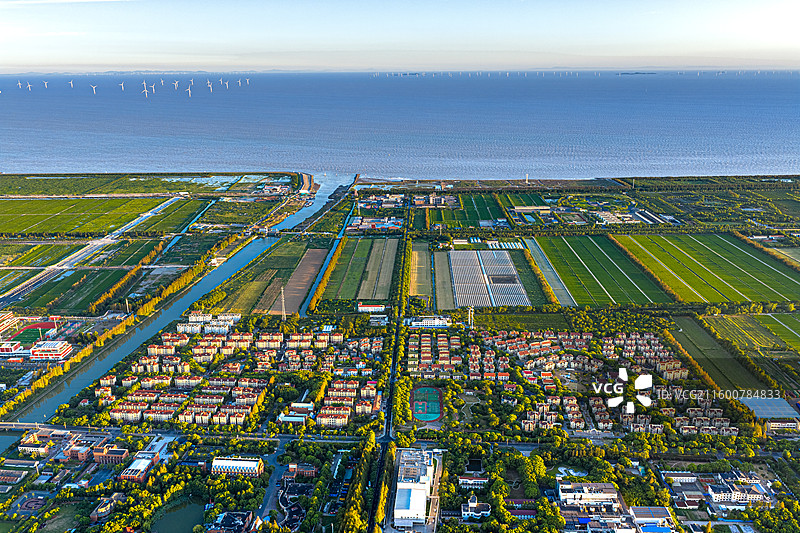 航拍上海五四农场 上山下乡知青岁月 盐碱土改良种植水稻 沿海滩涂围垦造田 杭州湾北岸 奉贤海湾镇图片素材