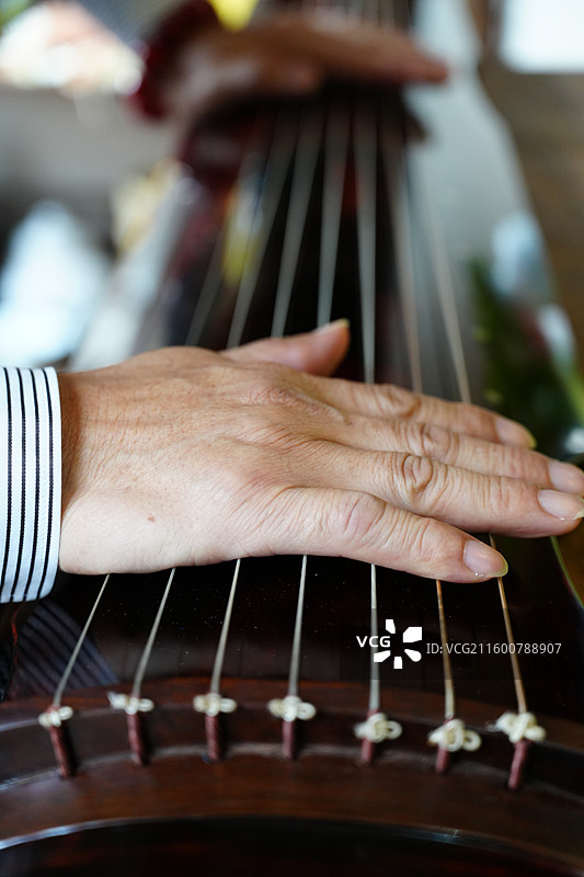 古琴 演奏 手 特写图片素材